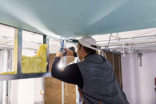 Best Insulation Maintenance and Repair in Lovelock, NV